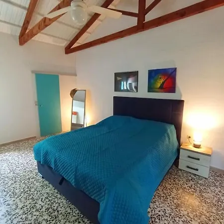 度假居 Olive House