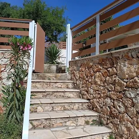 Olive House *
