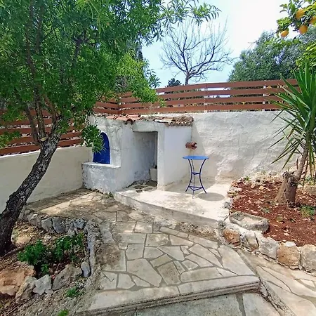 Olive House