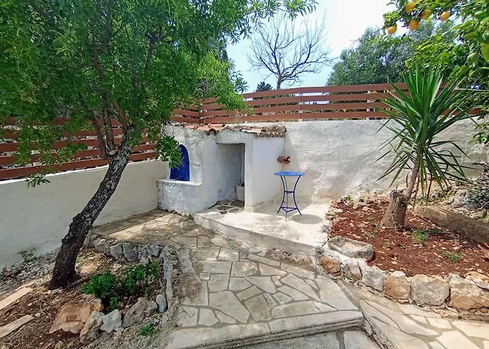 Olive House